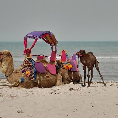 Dar El Kahina Djerba Hotel Mezraia Buitenkant foto