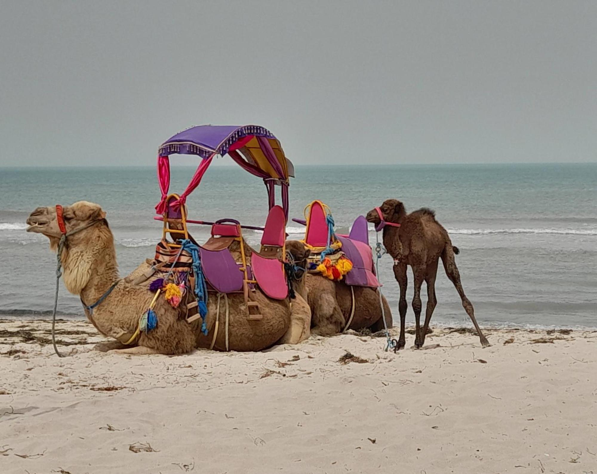 Dar El Kahina Djerba Hotel Mezraia Buitenkant foto