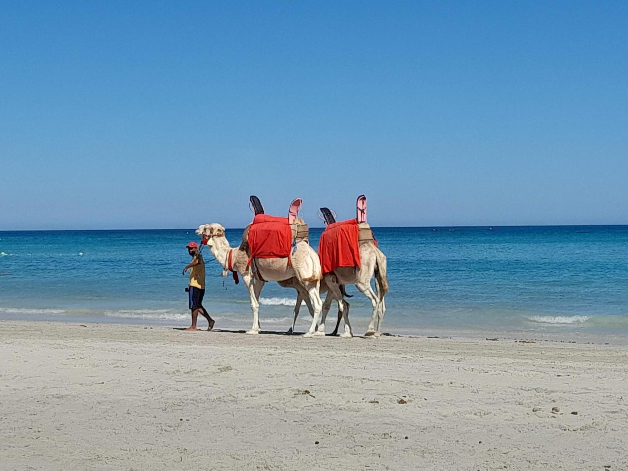 Dar El Kahina Djerba Hotel Mezraia Buitenkant foto